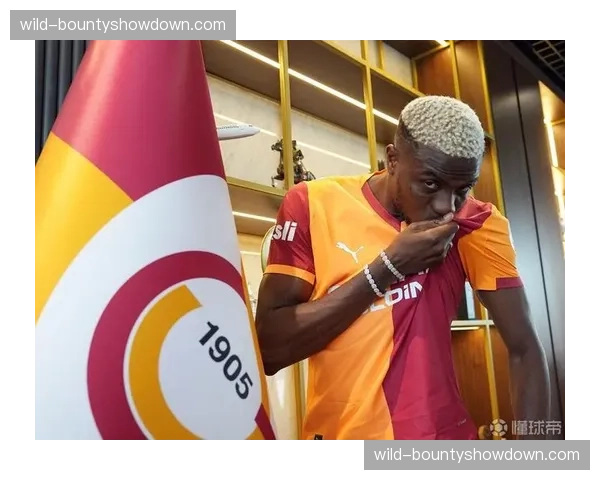 奥萨苏纳商业赞助收入 1130万欧涵盖多领域